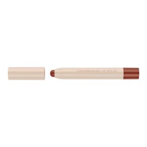 Color & Shine Lip Stylo 34 Cinnamon Flame